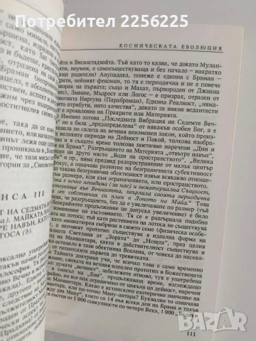 Тайната доктрина ( том 1 ), снимка 7 - Специализирана литература - 56344853