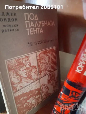 книги книги книги3, снимка 2 - Художествена литература - 56457046