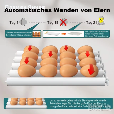 CoInceptus напълно автоматичен инкубатор за 12-16 яйца, снимка 4 - За птици - 53329159