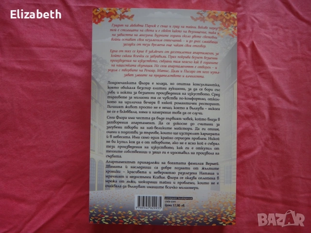 Нова - Парижка тайна - Карън Суон, снимка 2 - Художествена литература - 53122270