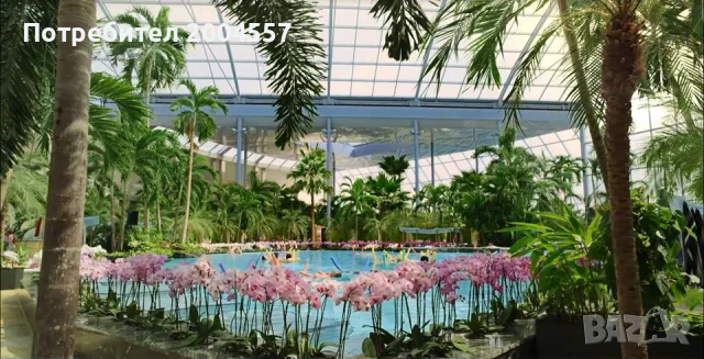 Екскурзия Коледен базар и релакс в Терме Букурещ 2026, снимка 6 - Автобусни екскурзии - 55815407