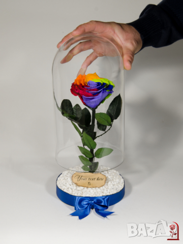 Нестандартен Подарък за Жена / Шарена-Рейнбол Вечна Роза в Голяма Стъкленица / Подарък за Годишнина, снимка 6 - Декорация за дома - 36455173