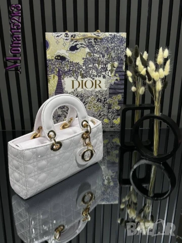 чанти christian dior 25/12см
, снимка 15 - Чанти - 50963329