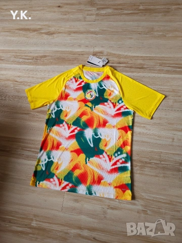 Оригинална мъжка тениска Puma DryCell x Senegal National Football Team / Season 26 (Pre-Match), снимка 2 - Тениски - 54156841