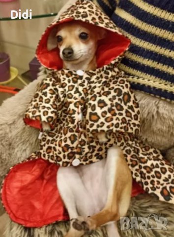 Кучешко якенце с качулка , снимка 5 - За кучета - 39721241