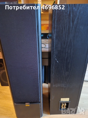 Колони Несо