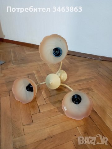 Полилей , снимка 2 - Полилеи - 42135332