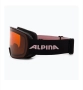 Ски очила Alpina, снимка 2