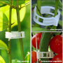 Скоби за домати колове растения връзване поддръжка пластмасови зеленчуци, снимка 3