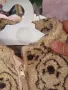 Сладурски якенца за деца, снимка 2