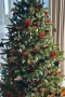Коледна елха Див смърч 220см, снимка 1