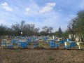 Продавам мед реколта 2023 г., снимка 1 - Пчелни продукти - 42428381