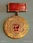 Емайлирана значка 76г. НАЦИОНАЛНА СРЕЩА с ПЪРВЕНЦИТЕ в ТРУДА 53546, снимка 2