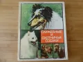 Руски кибрити с кучета от 80-те год, снимка 1