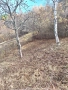 Продавам парцел гр. София, с. Герман, снимка 13