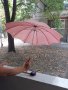Стар антикварен чадър, снимка 1 - Антикварни и старинни предмети - 34217514