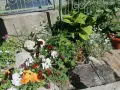ПРОДАВАМ ПЪРВИ ЕТАЖ ОТ КЪЩА 100 М2 С ДВОРНО МЯСТО, снимка 5