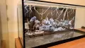 Аквариум 100/30/42  - 126л., снимка 4