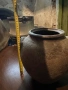 Старинни съдове, снимка 11