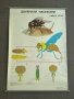 Соц Учебни Плакати Постери Биология, снимка 9