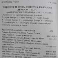 Български владетели създали тридесет и една държави от времето на Атлантида до днес, снимка 10 - Енциклопедии, справочници - 31252828