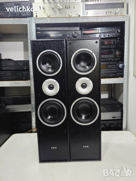 🎶 Продавам зверски тонколони AEG LB 4704 – 180 лв. 🔥, снимка 1