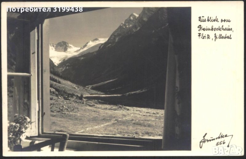 Пощенска картичка Майрхофен преди 1939 от Австрия, снимка 1