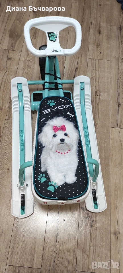 Шейна, снимка 1