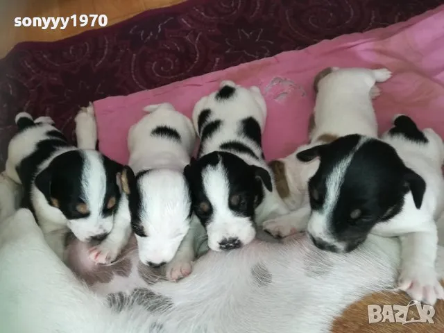 джак-ПРОДАВАМ 2102251744, снимка 1