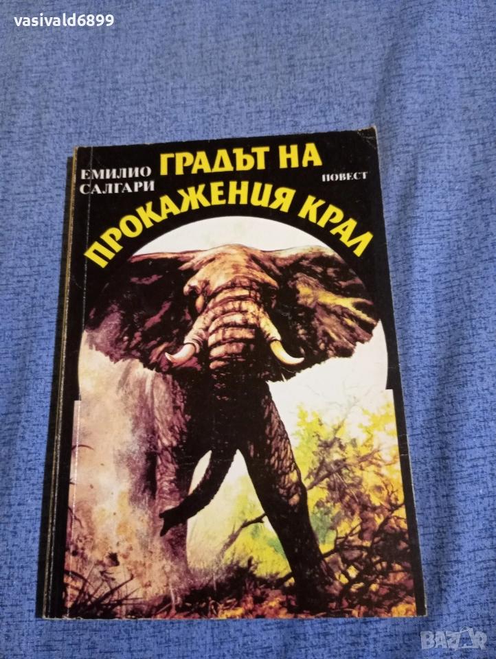 Емилио Салгари - Градът на прокажения крал , снимка 1