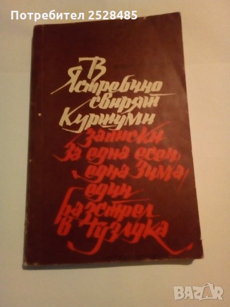 В Ястребино свирят куршуми, снимка 1