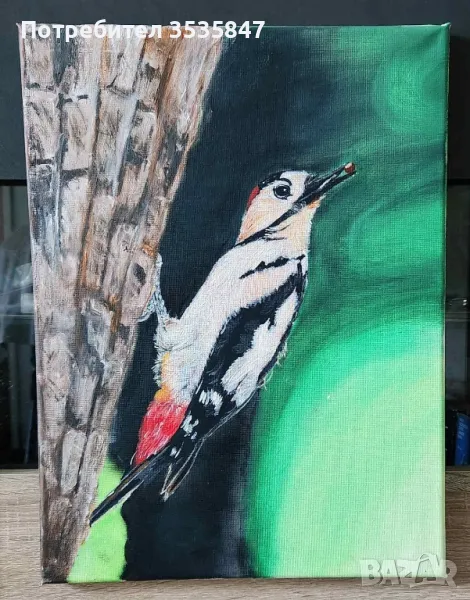 нови , снимка 1