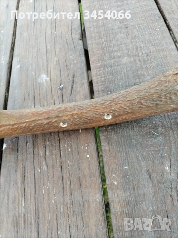 Еленови рога. , снимка 7 - Декорация за дома - 54265152