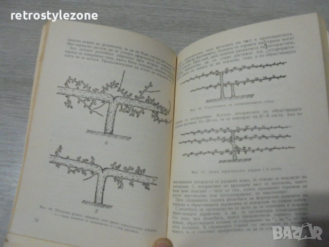 № 8451 Стара книга "Декоративно овощарство"  автор -Иван Желев  , снимка 3 - Специализирана литература - 53137855