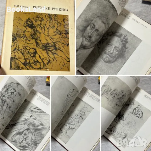 Рисунки Рубенса 