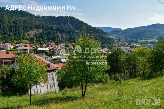 Парцел с къща в с. Смилян, снимка 2 - Парцели - 42335814