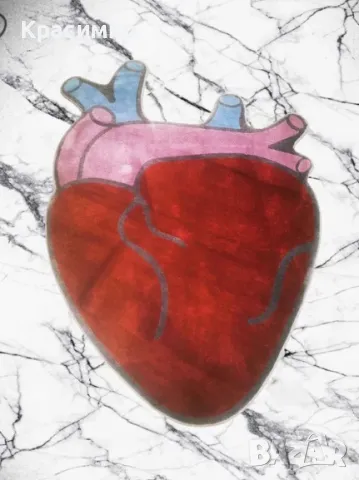 Килим сърце-килим под формата на анатомично сърце