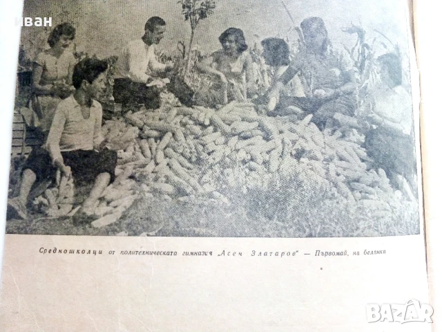 Списание " Родна реч " - 1961г.  брой 10, снимка 5 - Списания и комикси - 51150438