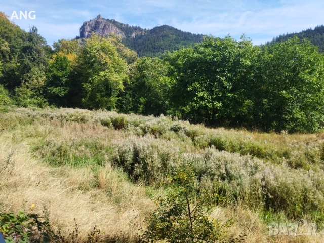 Продава парцел в гр.Смолян, снимка 11 - Парцели - 51653586