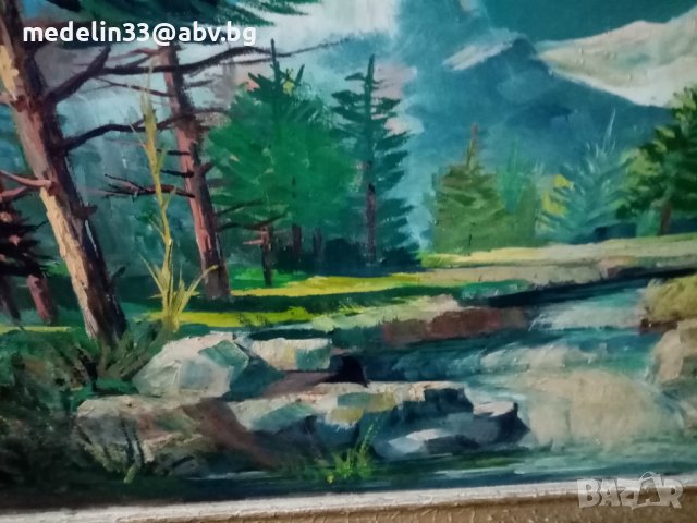 Стара голяма картина, масло, платно 95/65 см, снимка 2 - Антикварни и старинни предмети - 36787261