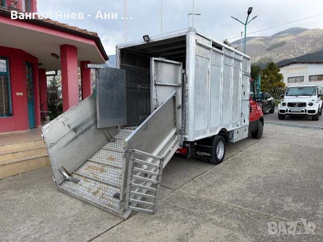 Животновоз, снимка 12 - Бусове и автобуси - 54157703