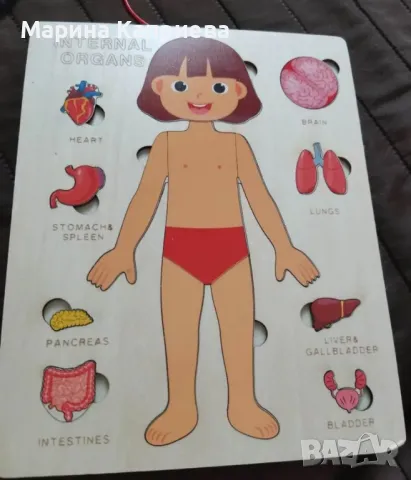 Опознавателни , образователни дървени пъзели, снимка 4 - Образователни игри - 49499576