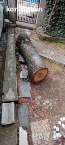 ЧЕРЕША ТРУПИ 1,2куб.м., снимка 3 - Декорация за дома - 54017737