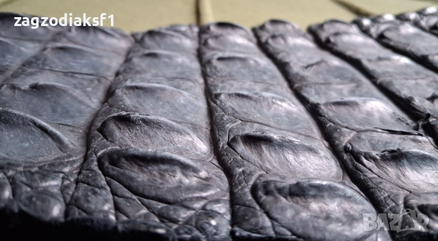 Кожа от гръб на Крокодил 153,5 см., снимка 6 - Колекции - 52801971