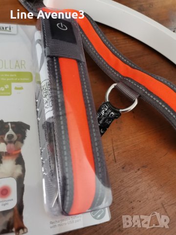 Нашийник за куче-СВЕТЕЩ , снимка 4 - За кучета - 31451149