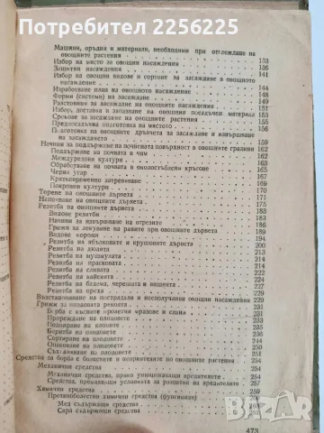 Овощарство 1955г, снимка 3 - Специализирана литература - 56271266