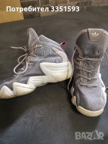 adidas crazy torsion system