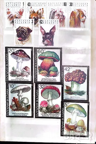 Класьор с марки/България/. К.1, снимка 2 - Филателия - 48923143