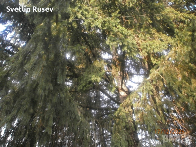 къща , снимка 3 - Къщи - 52821877