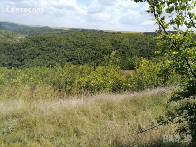 Продавам парцел в регулация в с. Кошов , снимка 7 - Парцели - 37338185